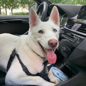 Meet your Posher, Julianna